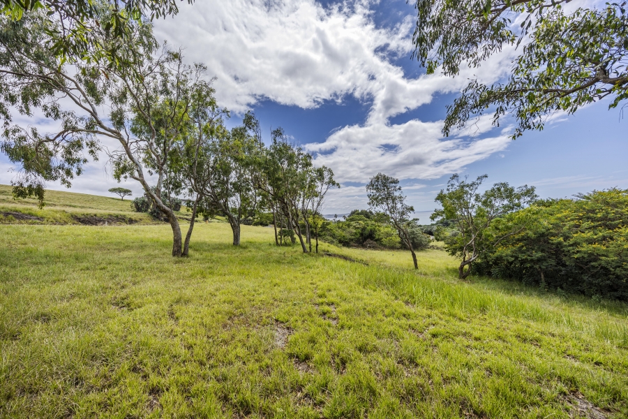 0 Bedroom Property for Sale in Cintsa West Eastern Cape